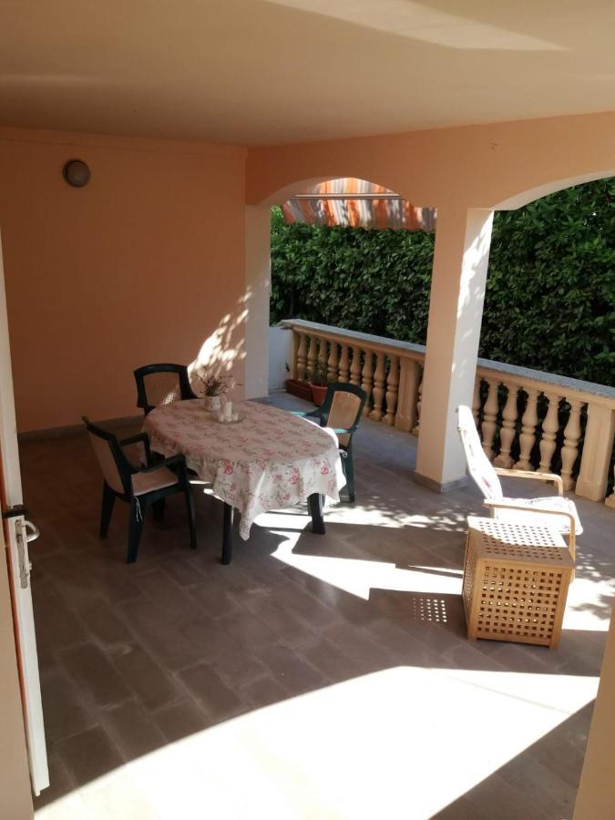 Goga Apartment Petrcane Exteriér fotografie